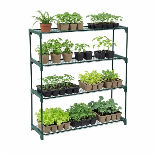 New flower staging display - flower,