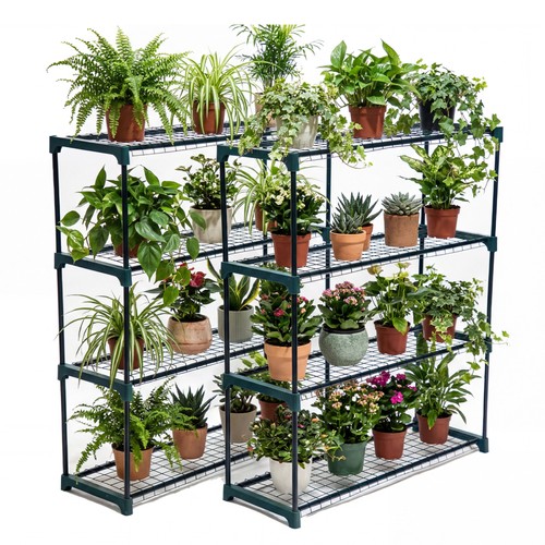 Flower staging display - flower,