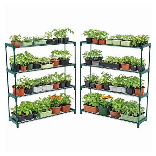 New double pack flower - double, staging